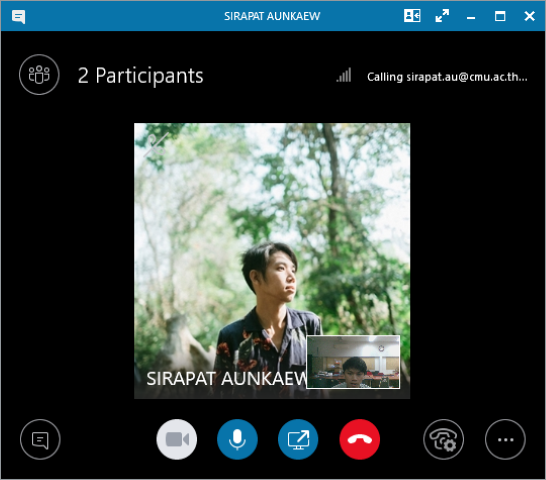 MS 365 Skype call 02 (Small).png