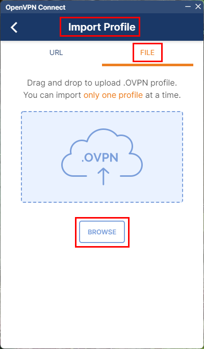 Win ovpn connect 02.png